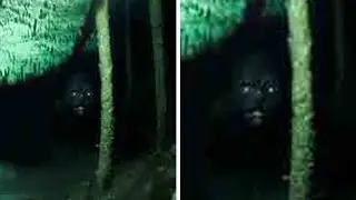 Under Water Drone Entered Jacob's Well , What Was Captured Terrifies The Whole World
