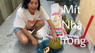 Quê hương !🏠 