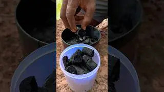 Amazing Lifehack: How to Make an Eco-Friendly Fire Starter with Charcoal.