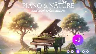 Beautiful Piano & The Whispers of Nature 🌿🎹 | Non stop relaxing music 🎶 🎼 🎵 