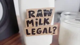RAW MILK / how to buy it online legally