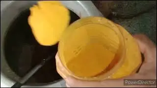 dal