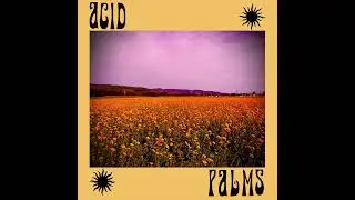 Acid Palms - Sunsick (Official Audio)