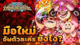 อัพตัวละคร ยังไง ? เจาะลึกการอัพตัวละคร มือใหม่ควรดู! One Piece Treasure Cruise