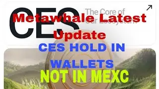 Latest Update Metawhale | CES HOLD ONLY WALLETS NOT IN MEXC | CES SAFE IN WALLETS 