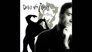 David Van Tieghem - Flying Hearts
