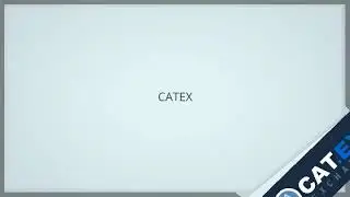 CAT.EX EXCHANGE VIDEO REVIEW