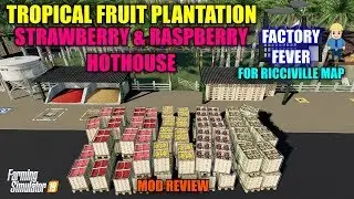 Fruit Plantation & Berry Hothouse 