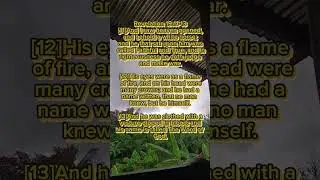 Search the scriptures 