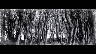 O'Neill CWC - Trailer 2011