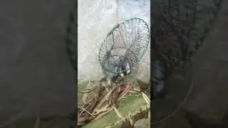 spot mancing tengah kota cianjur