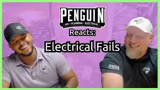 Shocking Reactions: Penguin Managers React to Electrical Fails!