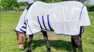 Millbry Hill Classic Fly Rug