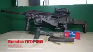 Beretta ARX 100 (ARX 160 Versione Civile) .223 Rem Ottica Vortex Spitfire ITA