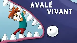 Et Si La Baleine Vous Avalait Vivant?