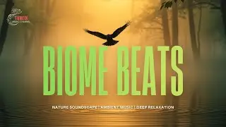 Biome Beats 🌿 Nature Soundscapes | Relaxing & Calm Music | Minimal Meditative Ambient Music 🍃