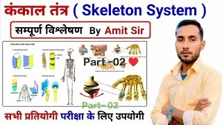 मानव कंकाल तंत्र | Human Skeleton By Khan sir pdf | Manav kankal tantra in hindi | science gk part 2