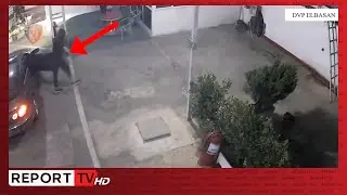 Elbasan/ Kanos&euml;n me pistolet&euml; punonj&euml;sin n&euml; nj&euml; karburant dhe i mor&euml;n xhiron, pranga dy t&euml; rinjve