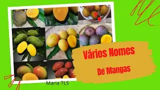 +de 20 Nomes de MANGAS Diferentes Tipos CURIOSOS\(*;*)/#mariatls #fruntamanga #nomesdefrutas