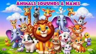 Baby Animal Collection: Kangaroo, Jellyfish, Buffalo, Peacock, Snake, Lion, Elephant, Animal Sounds