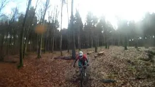 downhill mtb at longleat