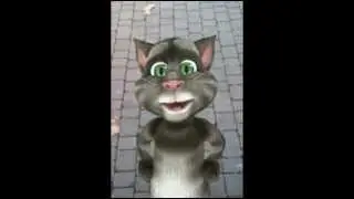 Hai rotto i coglioni