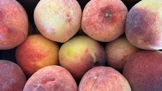 Ep 2.  5 Quick Sewing Projects.  Zesty Peach Salsa.  Fall Garden Boost.