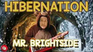 The Hibernation Song - A parody of Mr. Brightside by The Killers