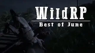 WildRP's Best of June | 30+ Most Viewed Clips | Wild RP Highlight