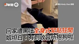 回家遭黑汪全身式緊貼狂聞　姐坦白：有到收容所抱狗啦│寵物│狗狗│Pet│