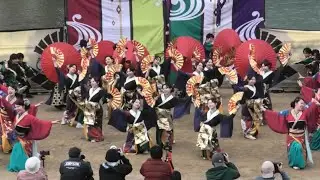 【中央】kagura  ファイナル　どまつり夜桜in岡崎2025 （河川敷メイン会場）