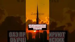 ОАЭ профинансируют обучение грузинских студентов