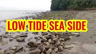 Low tide sea side beach 