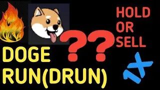 Doge Run (DRUN)coin review