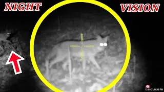 TRIPLE! Night Vision Coyote Hunting!