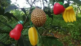 Menemukan buah buahan jambu, pisang, belimbing, durian, strawberry