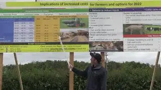 Optimizing Beef Farm Profitability - Alan Dillon