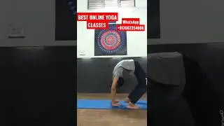 BEST ONLINE YOGA CLASSES #viraltiktok #viralshorts #yogapractice
