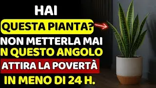 🚫 5 LUOGHI MALEDETTI dove NON dovresti MAI mettere la lingua di suocera | Saggezza Buddhista