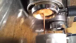 Rancilio z11 - 1st shot on bottomless PF