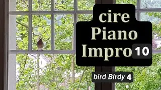 Piano Impro 10 -  free Piano Jam -  pianiste libre - bird birdy 4 - piano nature