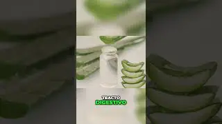 Aloe Vera  Mejora Tu Salud Digestiva y del Colon 2 #natural #recetas