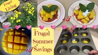 Frugal Living Frugal Summer Savings!  Rice and Tuna Salad!