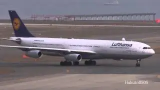 Lufthansa Airbus A340-313 D-AIGW Landing at Nagoya