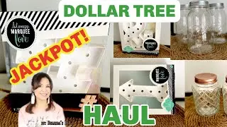 DOLLAR TREE JACKPOT HAUL! / NEW AMAZING ITEMS!/ FUTURE DIY FINDS