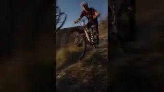 META SX V5