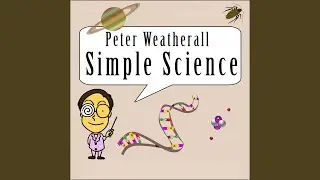 Insect Song