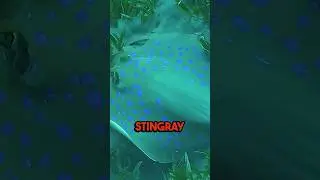 Survival Below: MadoverFish Unravels the Safety Secrets of Marine Fish! #aquarium #facts #viral