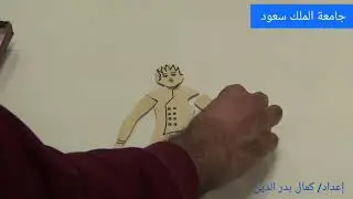 مقرر مقاييس الذكاء والقدرات الجزء العملي _ تجميع الأشياء