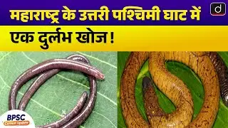 Gegeneophis Valmiki: New Amphibian Discovery in Western Ghats |  Drishti BPSC & JPSC